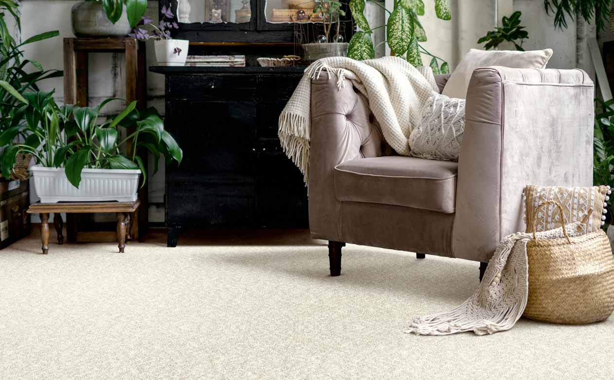 beige carpet in a living room with velvet chair and greenery